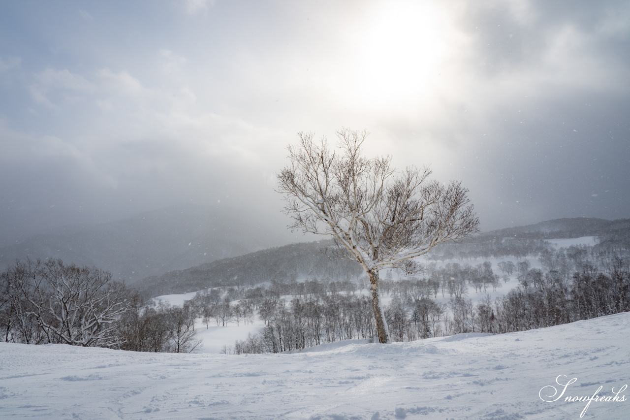 片岡嵩弥 - Takaya Kataoka - Powder Photo Session 2026 in ASARI